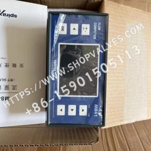 Calculador de caudal Spirax Sarco M841