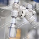 斯派莎克 Spirax Sarco DF1 消音器