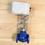 斯派莎克 Spirax Sarco AEL3E 电动执行器 背面