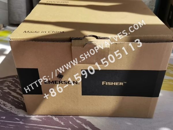 Embalaje del posicionador Fisher DVC6200