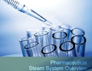 制药行业蒸汽系统革新：斯派莎克 Spirax Sarco 全生命周期解决方案赋能产业升级