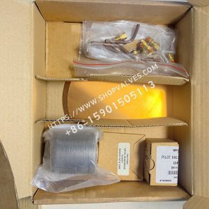 斯派莎克 Spirax Sarco DP27/DP27R 维修包