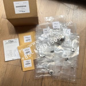 Комплект для технического обслуживания Spirax Sarco FTS14 11452180