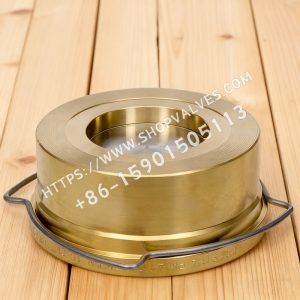 Бронзовый обратный клапан GESTRA GESTRA RK44 - зажимной обратный клапан